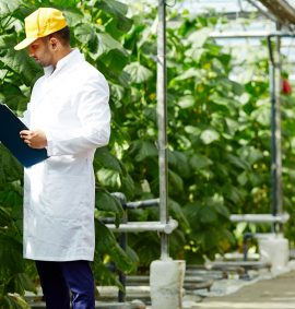 TECNOLOGÍA EN GESTIÓN DE EMPRESAS AGROPECUARIAS