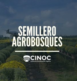Semillero Investigación en Agrobosques