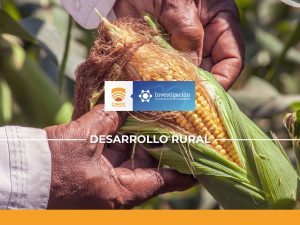 maiz,corn,agro,farmer,colombia