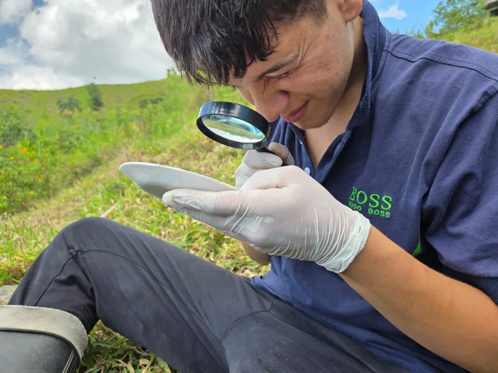 Del aula al campo: estudiantes de Producción Agropecuaria fortalecen su aprendizaje en Arboleda