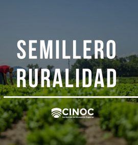 Semillero Investigación Ruralidad y Regionalización