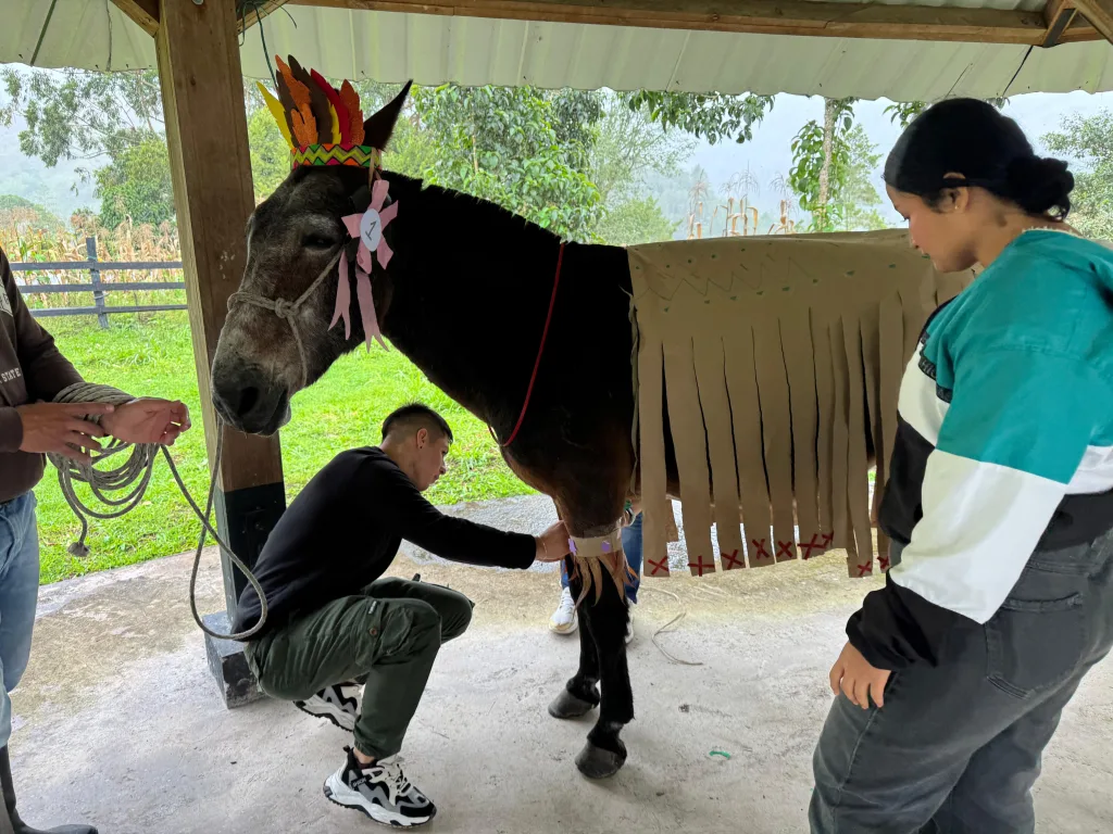 Ejercicios asistidos con animales fortalecen la inteligencia emocional de los estudiantes de la IES CINOC