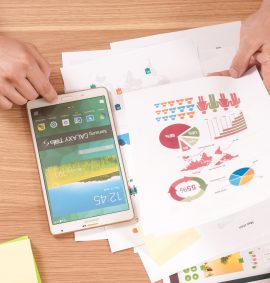 TÉCNICA PROFESIONAL EN CONTABILIDAD SISTEMATIZADA