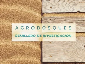 Aplicación de procesos de trabajabilidad de la madera de Eucalipto Rojo y Pino Romerón