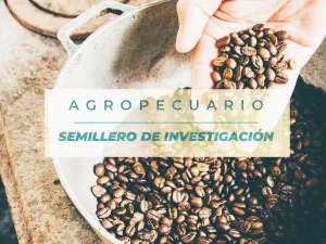 Influencia en la calidad organoléptica de la taza del café variedad cenicafé 1 beneficiado por procesos biotecnológicos de microfermentación