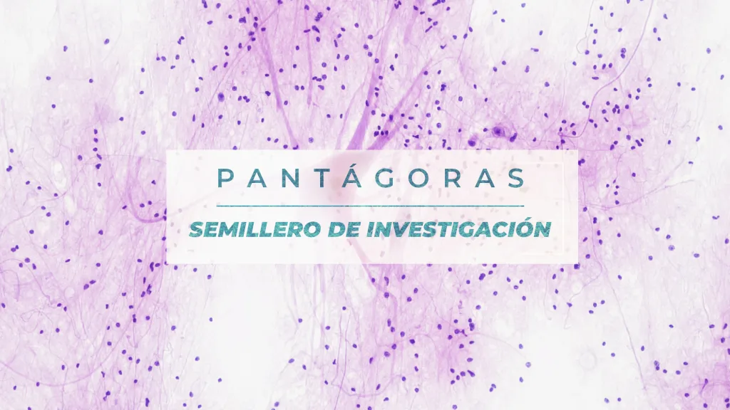 Estrategia de mejoramiento de los procesos educativos a través del desarrollo de proceso neuroeducativos aplicado a los estudiantes de la IES CINOC con problemáticas de aprendizaje