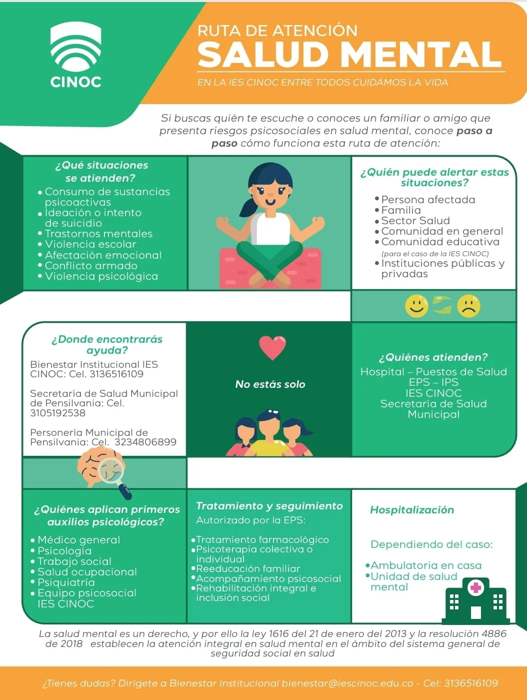 ruta atencion salud mental