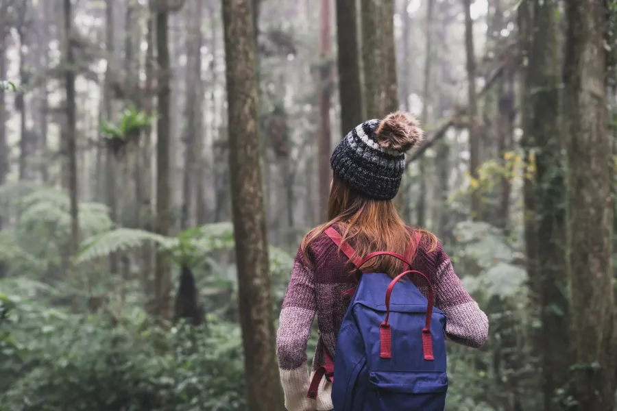 Young woman traveler walking in the forest